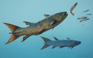 The fast-swimming coelacanth Rebellatrix