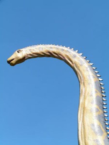 Diplodocus 