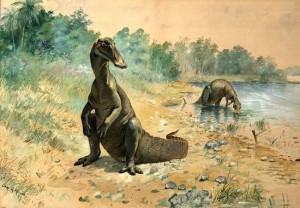 An artist's sketch of a hadrosaur