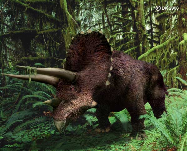 triceratops jwe