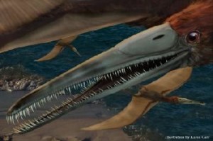 A 95 million-year-old fossilized jaw discovered in Texas has been identified as a new genus and species of flying reptile, Aetodactylus halli, says paleontologist Timothy S. Myers, who identified and named Aetodactylus halli. The rare pterosaur -- literally winged lizard -- is also one of the youngest members of the pterosaur family Ornithocheiridae in the world. It's only the second ornithocheirid ever documented in North America, says Myers, a postdoctoral fellow at Southern Methodist University, Dallas. - Illustration by Karen Carr