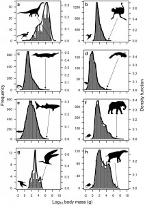 Frequency distribution of species body size for eight different animal groups: