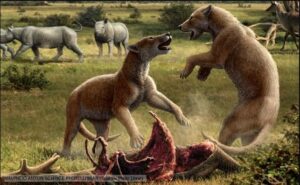 WFS News:Scientists Find Fossil Of Prehistoric Bear-Dog | WFS