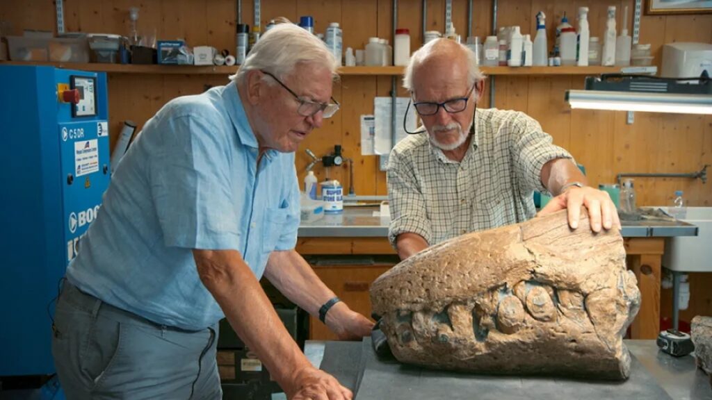 The skull of a prehistoric sea monster found on the Jurassic Coast 