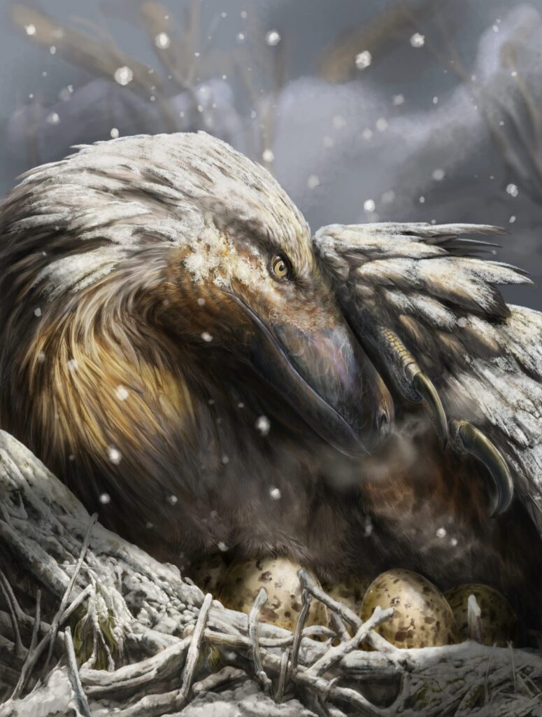 Recent research indicates that some dinosaurs might have developed the ability to internally regulate their body temperature during the early Jurassic period, enabling them to adapt to colder climates and survive environmental challenges. The artist’s impression shows a dromaeosaur, a type of feathered theropod, in the snow. This dinosaur group is popularly known as a raptor. A well-known dromaeosaur is Velociraptor, portrayed in the film Jurassic Park. Credit: Davide Bonadonna/Universidade de Vigo/UCL