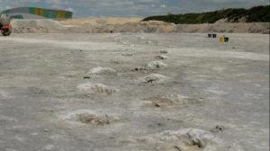 These footprints were made 166 million years ago as a dinosaur walked across a lagoon